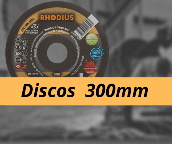 Discos de 300mm.